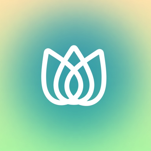 Most Used Dutch Verbs