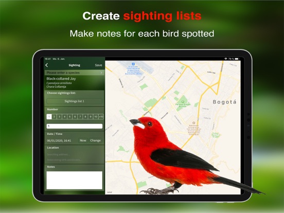 All Birds Colombia field guide iPad app afbeelding 4
