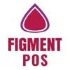 Figment POS - 1.7 problems & troubleshooting and solutions