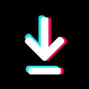 TKTK Video Saver