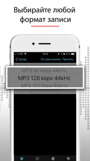 Диктофон - Для Записи Звука айфон картинки 4