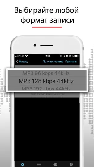 Скриншот Диктофон - Для Записи Звука на iPhone 4