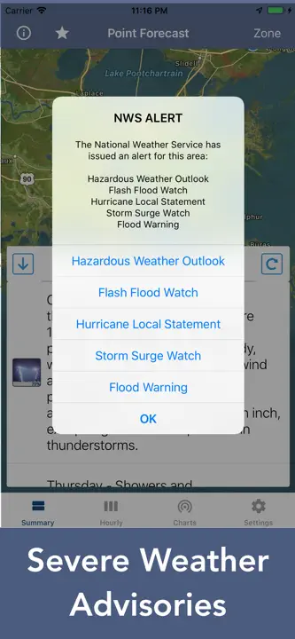 National Weather Forecast Data : capture d’écran 7 sur 9
