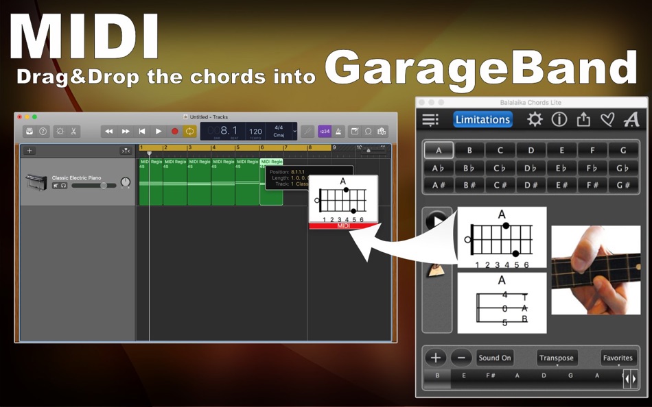 #2. Balalaika Chords lite (macOS) 게시자: Max Schlee