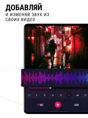 edity-Аудиоредактор музыки pro айпад изображения 3