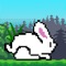 The story of a cheerful rabbit embarking on a journey to meet the unknown