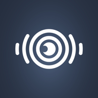 Налоговый мониторинг