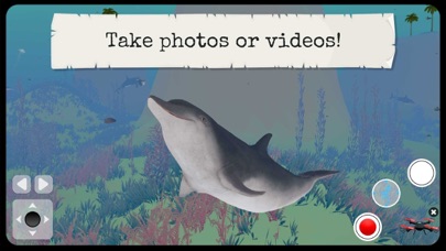 Animal World - 4D Kid Explorer Screenshot