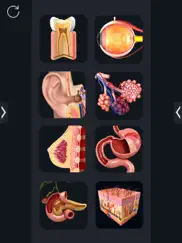 human anatomy ipad resimleri 2
