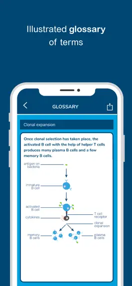 Game screenshot Biology Answers - AP Biology apk