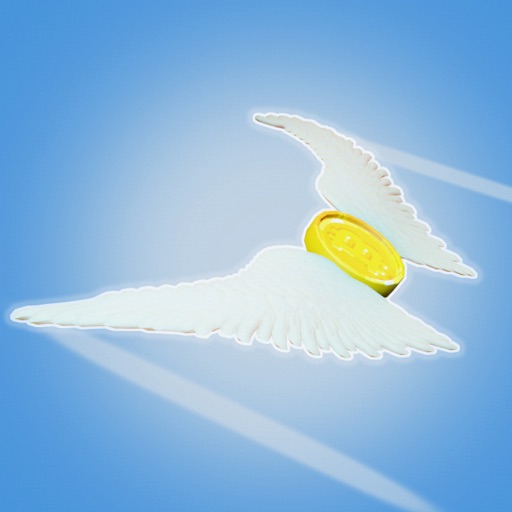 Coin Flight Runner icon