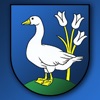 Čierne icon