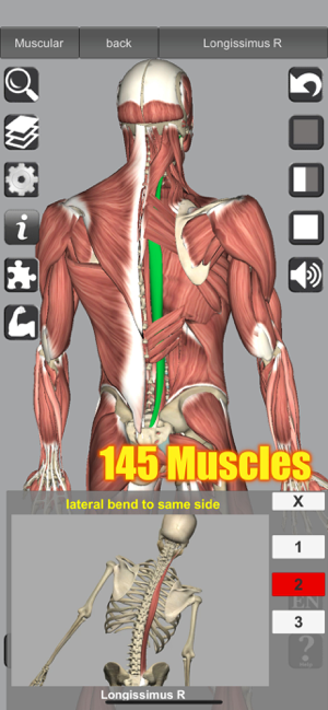 Snímek obrazovky 3D anatomie