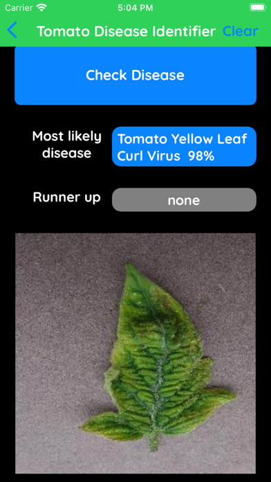 Tomato Disease Identifier Screenshot
