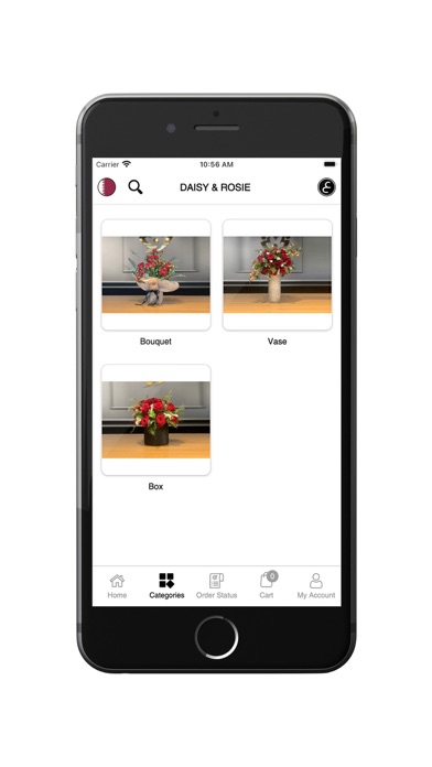 Daisy Rosie Screenshot