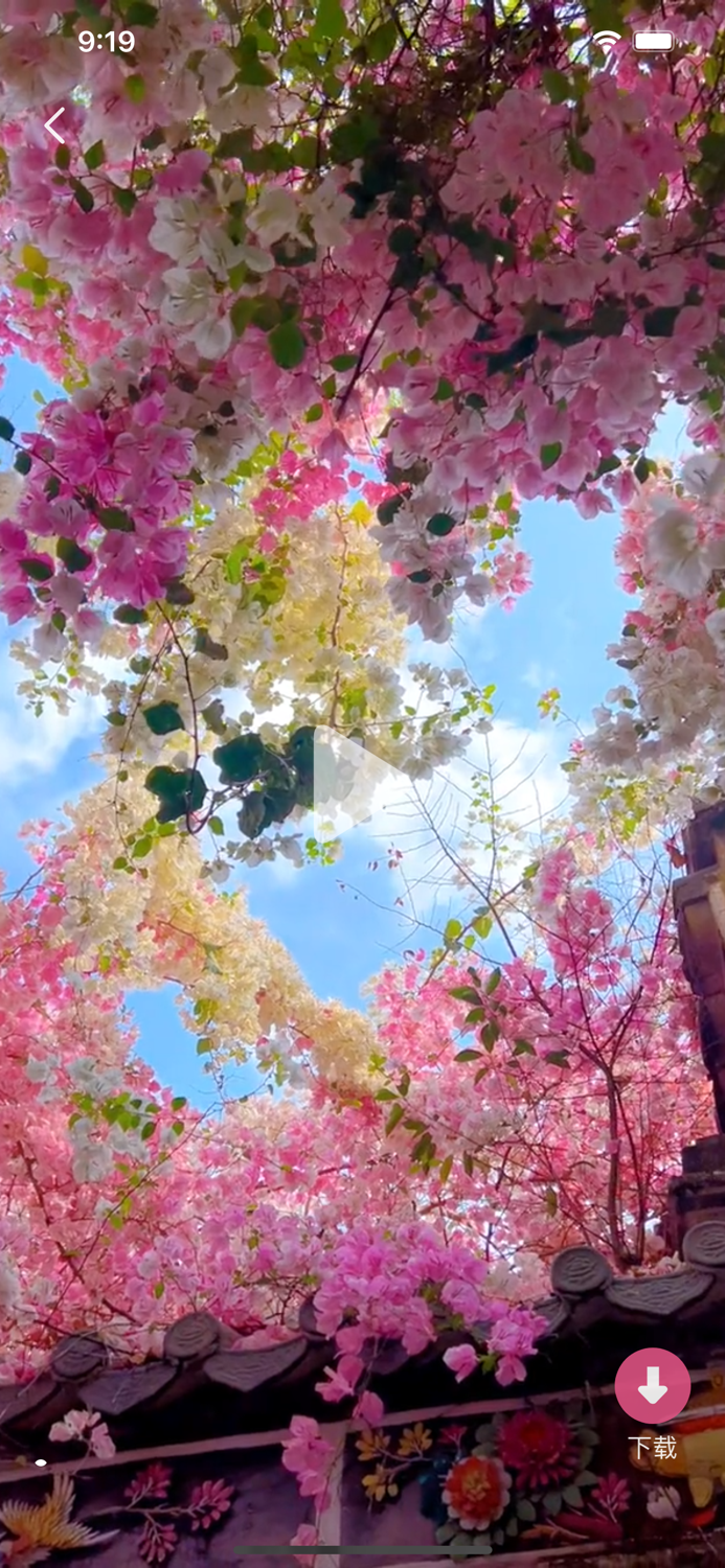 Graffiti - 4K Wallpapers