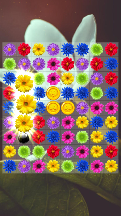Flower Valley: Blossom Garden Screenshot
