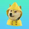 Doge Weather App Negative Reviews