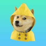 Download Doge Weather app