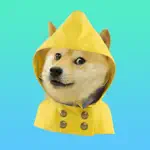 Doge Weather App Contact