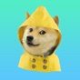 Doge Weather app download