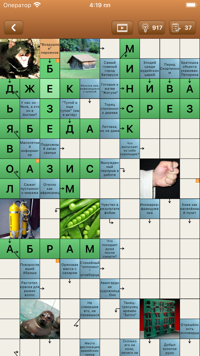 Сканворд Фан