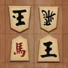Dr. Shogi problems & troubleshooting and solutions
