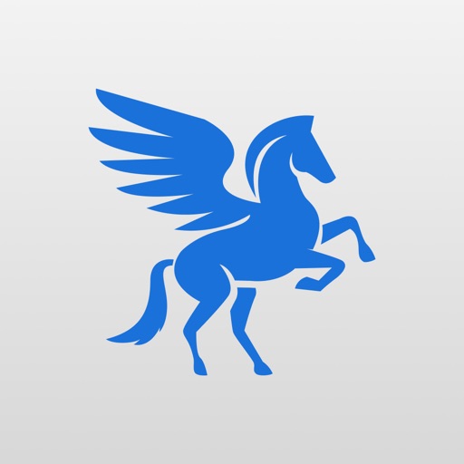 Pegas: Find Service Expert