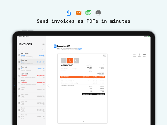 Tiny Invoice: Receipt Maker iPad app afbeelding 3