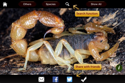 Indian Scorpions eGuideのおすすめ画像4