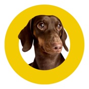 Dogito