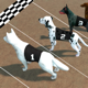 Crazy Dog Racing -Dog Games