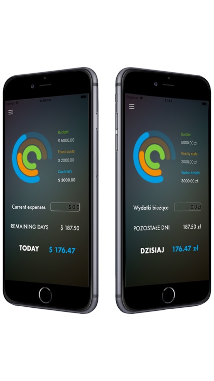 Cash Per Day screenshot-0