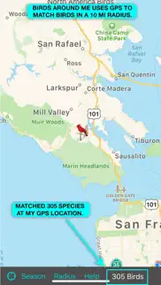 ibird ultimate guide to birds iphone images 4