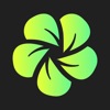 Bloom - Photo Editor icon