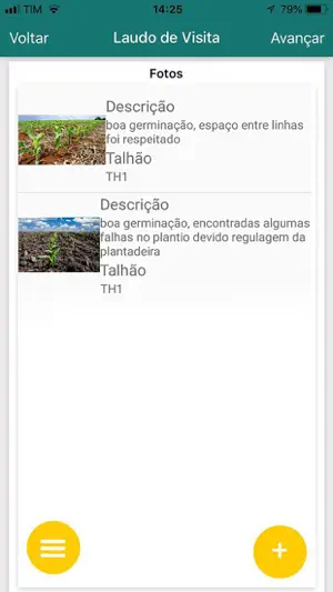 e-Laudo screenshot 4