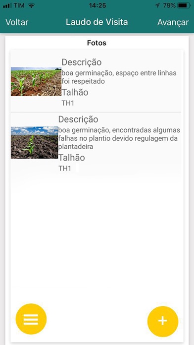 e-Laudo Screenshot