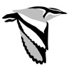 African Bird Club icon
