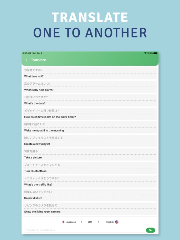App for Home Mini for Google iPad screenshot 5 - Entertainment app