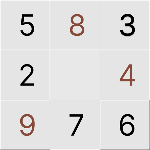 Sudoku Puzzle Brain Games