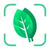 Similar Plant identification - Plants Apps
