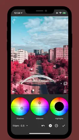 Game screenshot Photo Curves - Color Grading apk