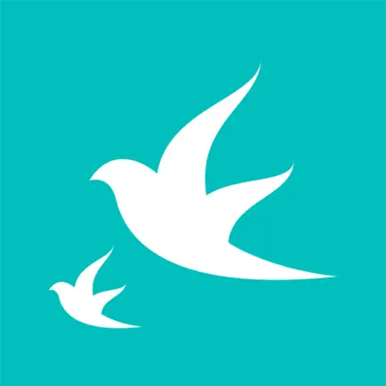 Ketto Читы