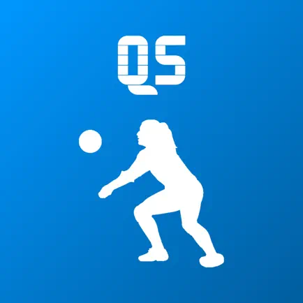 QS Volleyball Читы