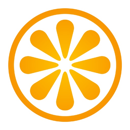 VisitBasis2 for merchandisers