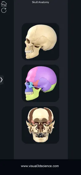 Game screenshot My Skull Anatomy mod apk