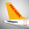 Pegasus: Cheap Flight Tickets - Pegasus Hava Tasimaciligi A.S.
