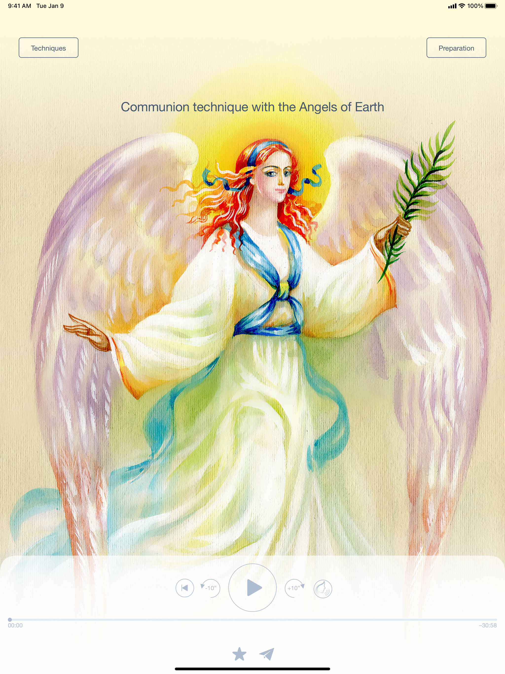 Angelic Contact