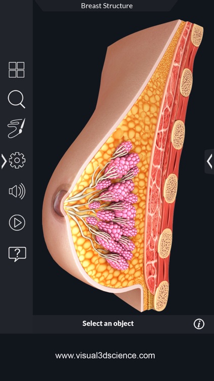Organs Anatomy screenshot-7