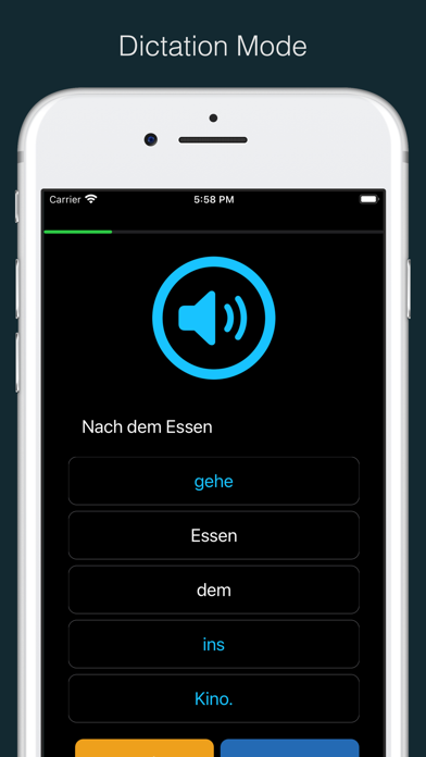 German Vocabulary and Grammar Screenshot